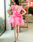 Blush Pink Ruffle Pleated Dress